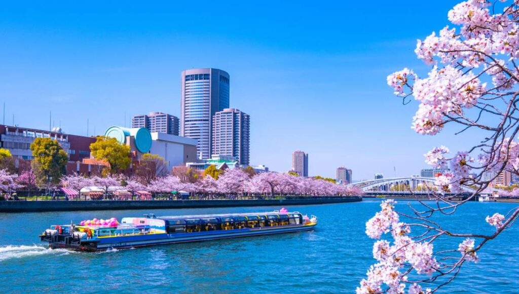 Osaka'da Sakura