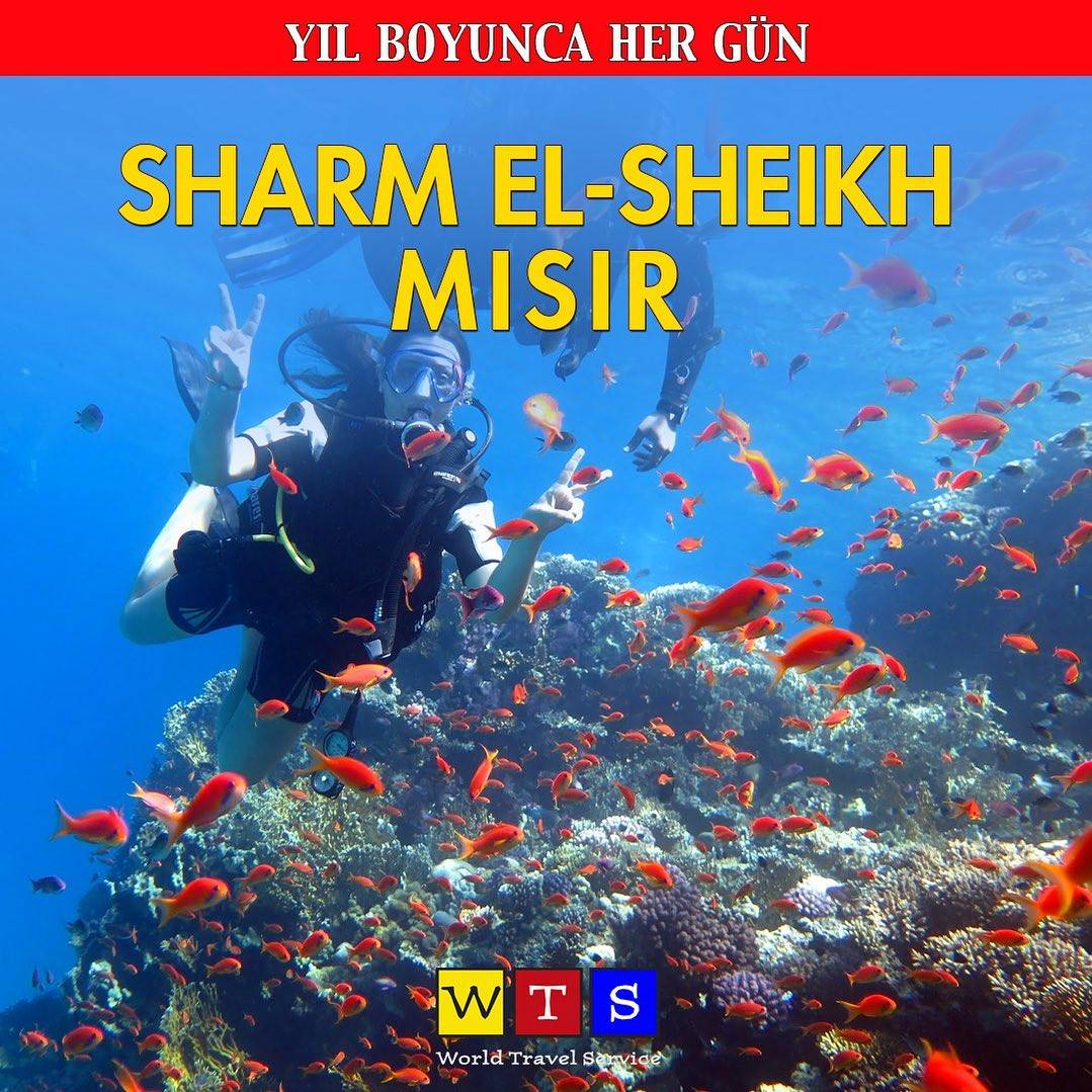 Sharm El Sheikh Turu