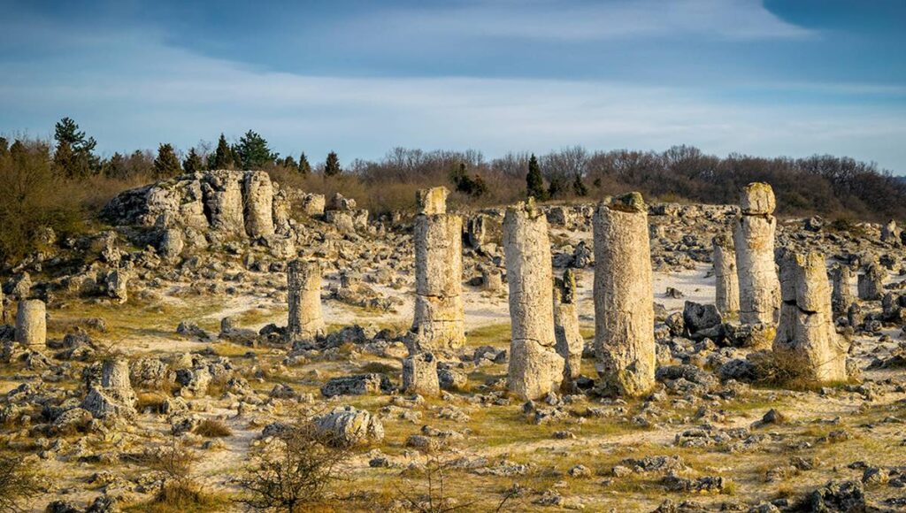 Varna Taş Ormanı