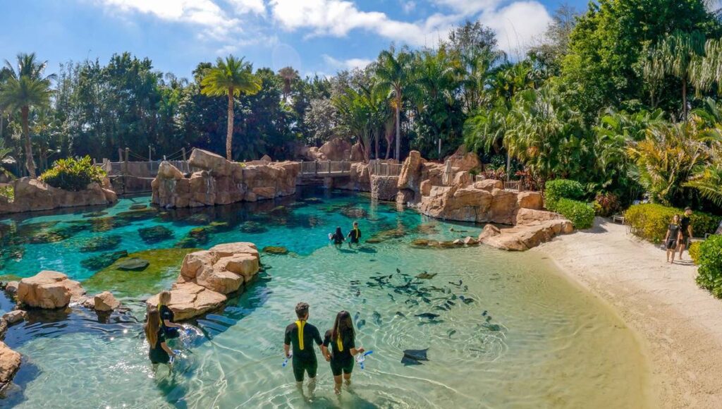 Discovery Cove Orlando